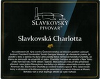 slavkov 43538315 314680996009783 4152290260543340544 o