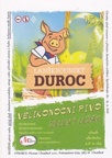 chotebor-99431347