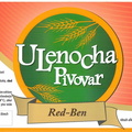 ulenocha 423865122 1585018795576907 8396021885235703177 n