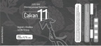 domažlice 472861037 2116146262121296 3958156569053622369 n