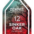 zichovec 475557696 1269174614876478 2554928654002279874 n