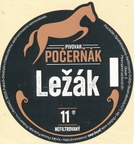 pocernak 490121208 1879695809442536 1973995888572275654 n