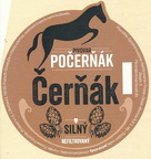 pocernak 490296835 1879695822775868 2554637183748891585 n